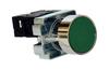 Pushbutton D22, 1no 10A 250VAC, IP40, green