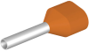 Kaksi