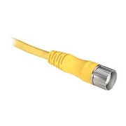 Cordset 889M, male M23/90° 19pin » flying-lead, 6A 300V, -20..105°C, PUR, nickel-plated brass, PUR, L2m, IP67/68, yellow