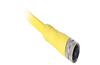 Cordset 889R, female AC Micro 6pin » flying-lead, 4A 250V, -20..105°C, polyurethane, gold over nickel-plated brass, PVC, 5m, IP67/69K, yellow